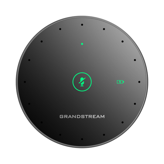 Grandstream GMD1208