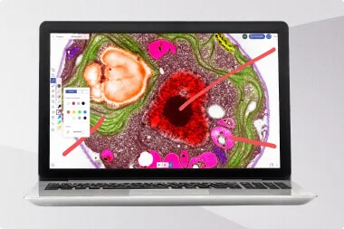 Explain Everything Advanced